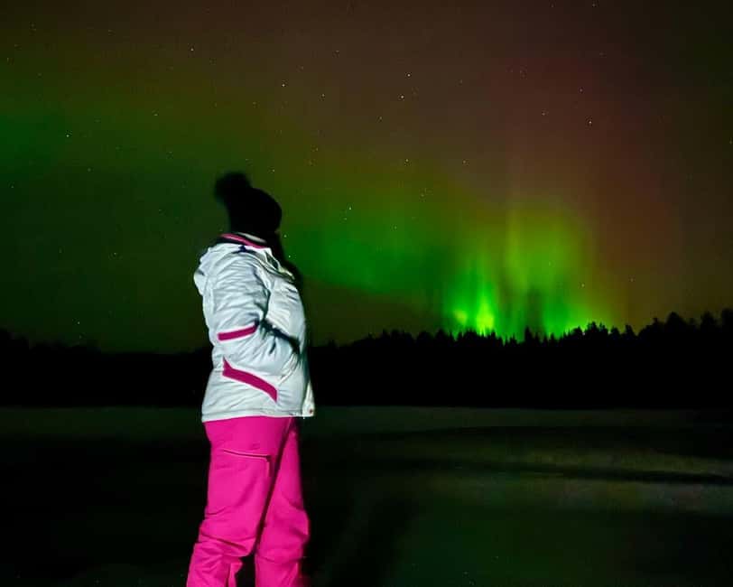 Rovaniemi: Night Tour in Search of the Aurora with BBQ - Stop 1: the first Arctic photo break and a quick guided walk