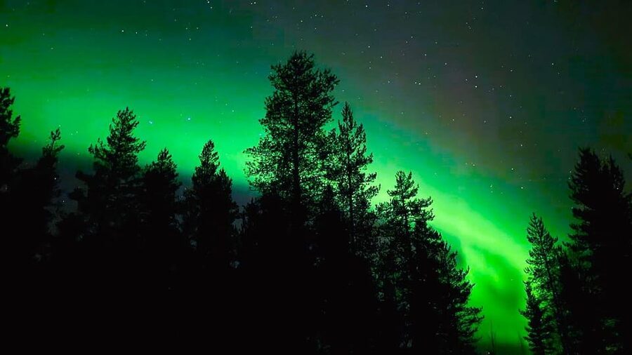 Rovaniemi: Night Tour in Search of the Aurora with BBQ - The tour guide role, especially for phone photos