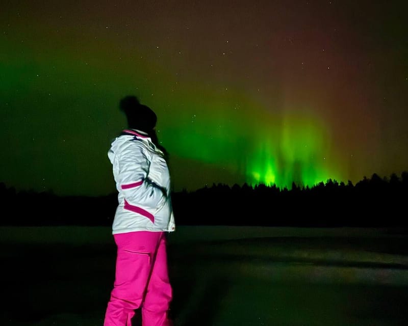 Rovaniemi: Night Tour in Search of the Aurora with BBQ - Price and value: is $68 fair for an aurora BBQ combo?