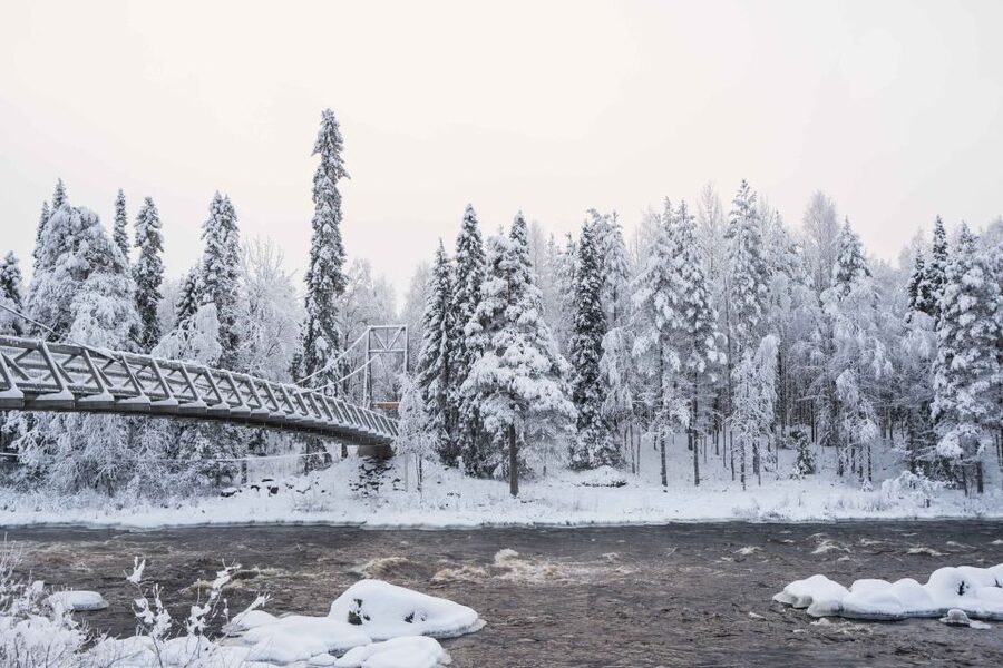 Rovaniemi: Nordic Forest Wilderness Adventure - What’s Included in the $159 Price, and Why It Can Be Good Value