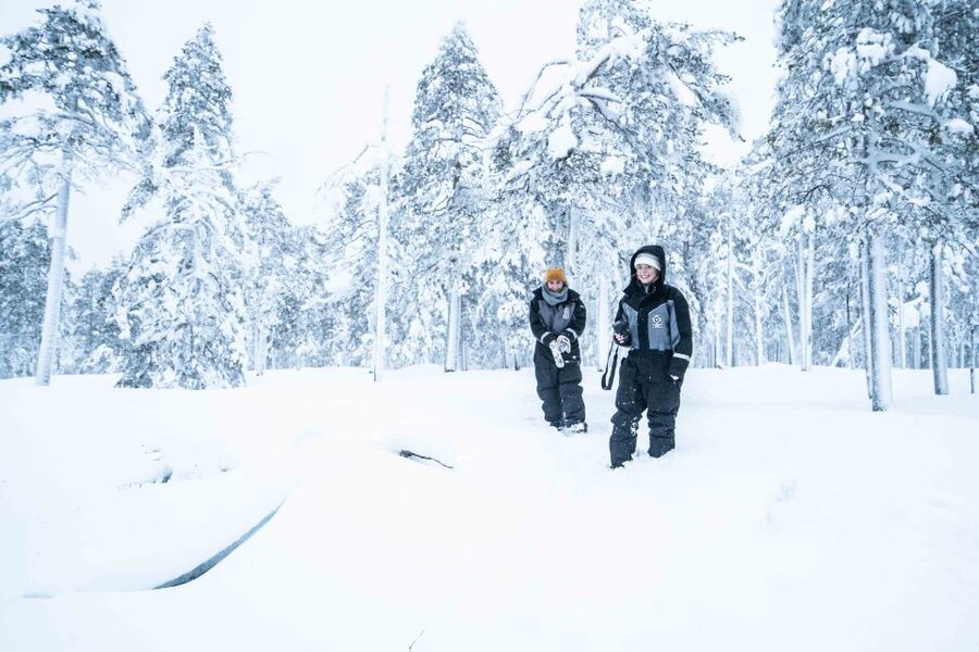Rovaniemi: Nordic Forest Wilderness Adventure - Why This Half-Day Wilderness Hike Feels Like Real Lapland