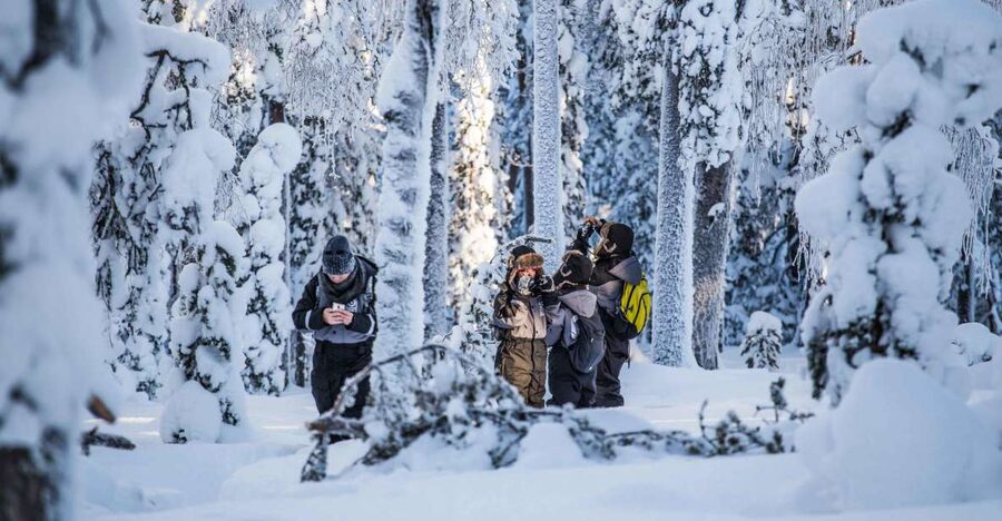 Rovaniemi: Nordic Forest Wilderness Adventure - Vikaköngäs Photo Stop: Where the Tour Finds Its Starting Point