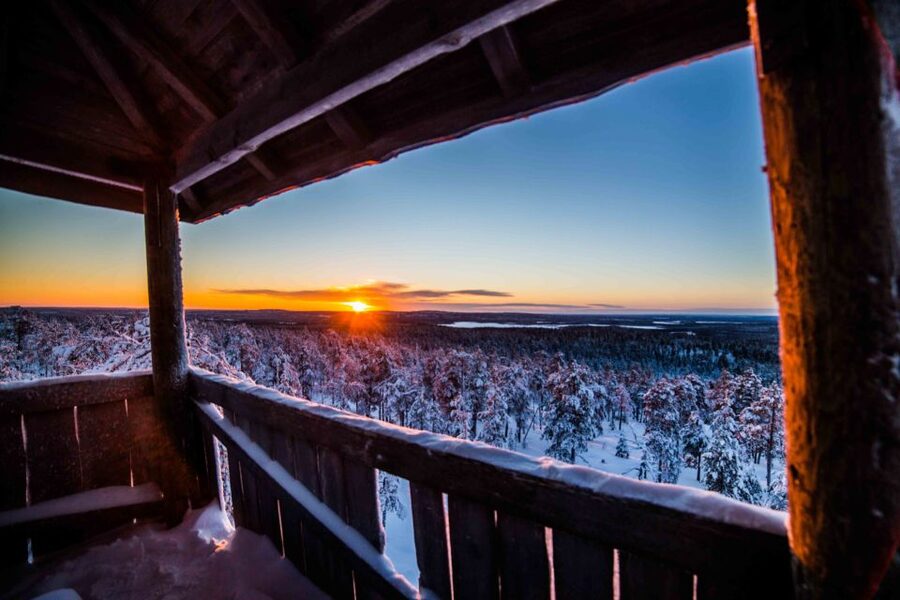 Rovaniemi: Nordic Forest Wilderness Adventure - The Small-Group Setup That Makes a Difference in Winter