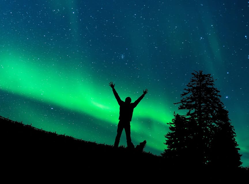 Rovaniemi: Northern Light Hunt Tour with ProCamera - Key Things That Make This Aurora Tour Different
