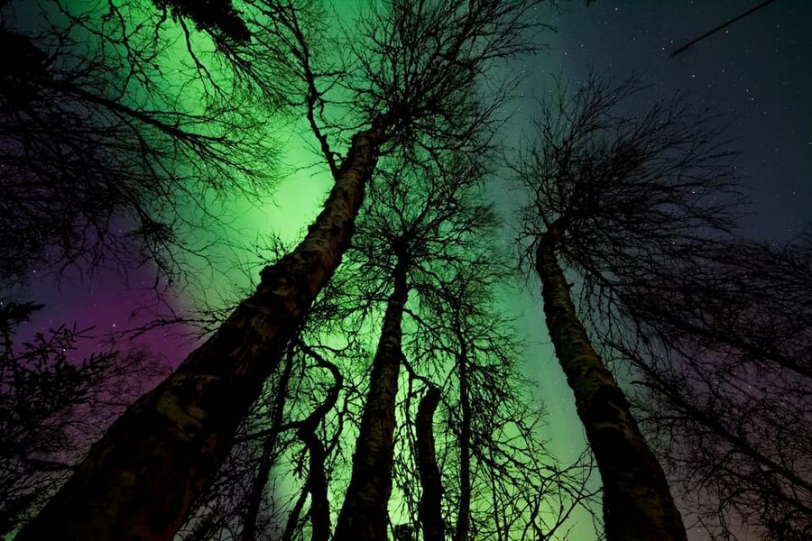Rovaniemi: Northern Light Hunt Tour with ProCamera - Heated Transport, Hot Drinks, Snacks, and the Teepee Campfire Moment