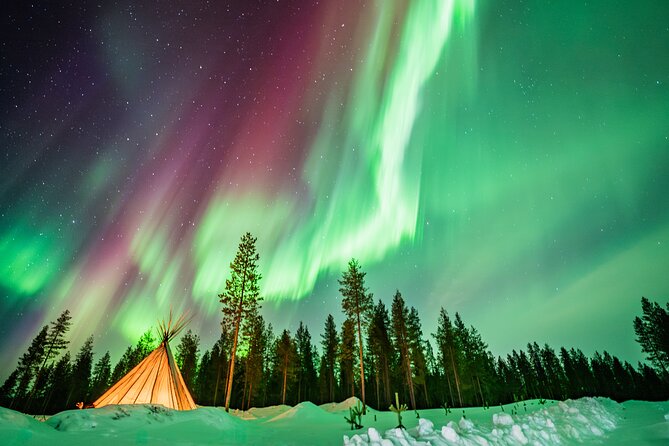 Rovaniemi Northern Light Hunt with Campfire and BBQ with Transfer - Picking Up at Rovaniemi, Then Heading Out Into the Dark