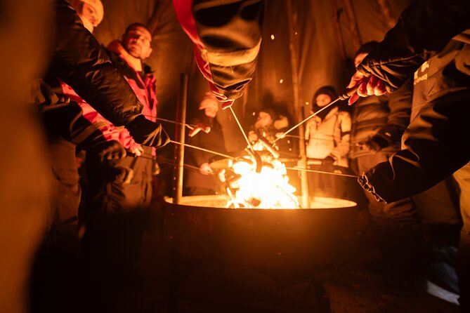 Rovaniemi Northern Light Hunt with Campfire and BBQ with Transfer - Warm Overalls, Outdoor Timing, and Why the Tour Can Run Longer