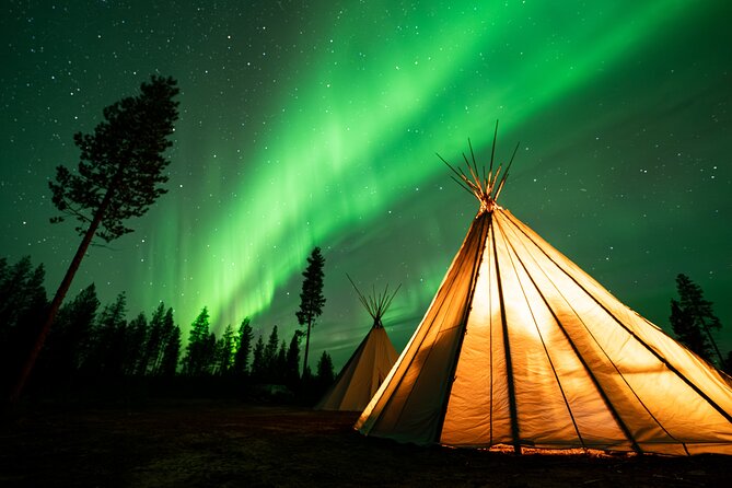 Rovaniemi Northern Light Hunt with Campfire and BBQ with Transfer - Group Size, Bus Trips, and How Organization Affects the Mood