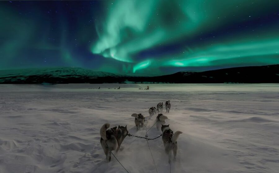 Rovaniemi: Northern Lights and Husky Sleigh Ride - Key Things I’d Pay Attention To