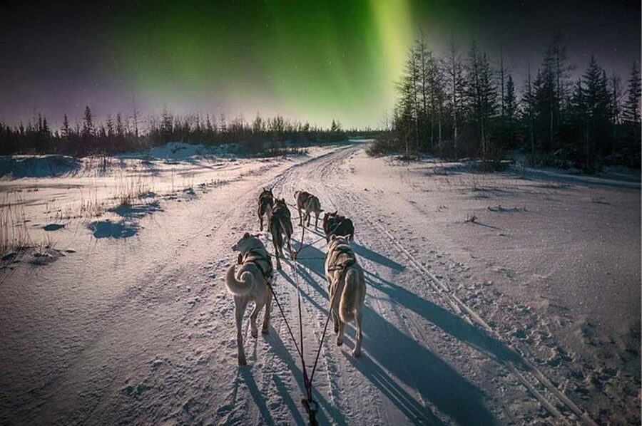 Rovaniemi: Northern Lights and Husky Sleigh Ride - Should You Book the Rovaniemi Northern Lights and Husky Sleigh Ride?