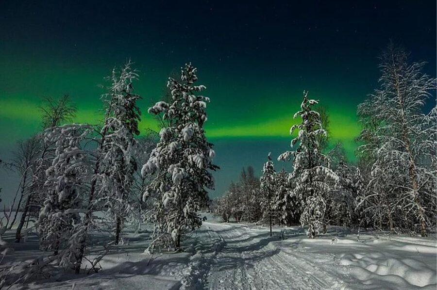 Rovaniemi: Northern Lights and Husky Sleigh Ride - What This Rovaniemi Night Actually Feels Like