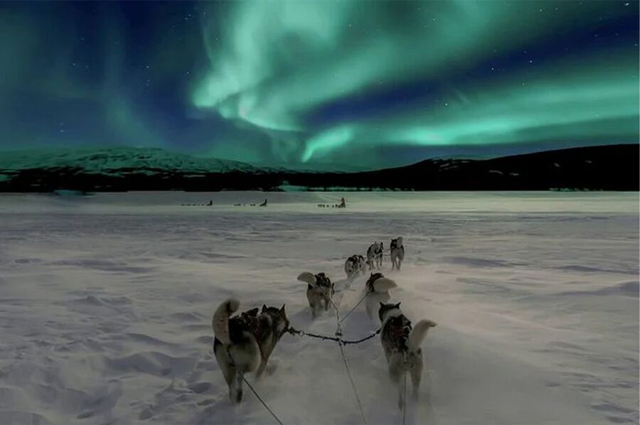 Rovaniemi: Northern Lights and Husky Sleigh Ride - Northern Lights Hunting by Car: How to Think About the Sky