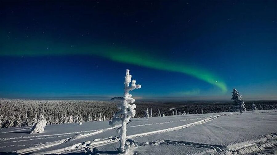 Rovaniemi: Northern Lights and Husky Sleigh Ride - Who Should Book This Husky and Northern Lights Ride?