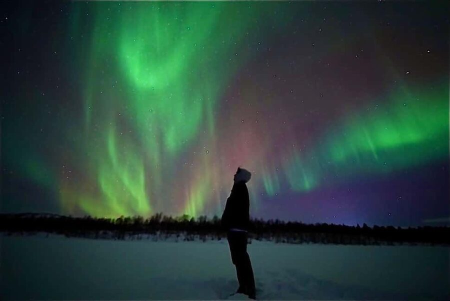 Rovaniemi: Northern Lights Aurora Guarantee Tour - How the Guide Uses Weather and Solar Data to Chase the Aurora