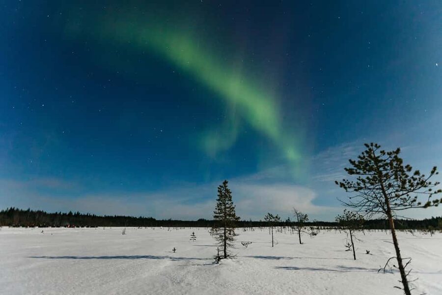 Rovaniemi: Northern Lights Family-Friendly Snowmobile Safari - Rovaniemi at night: why this safari works for families