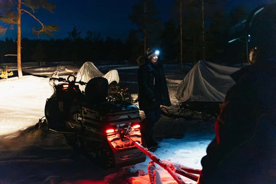Rovaniemi: Northern Lights Family-Friendly Snowmobile Safari - Price and value: what you’re actually getting for $181