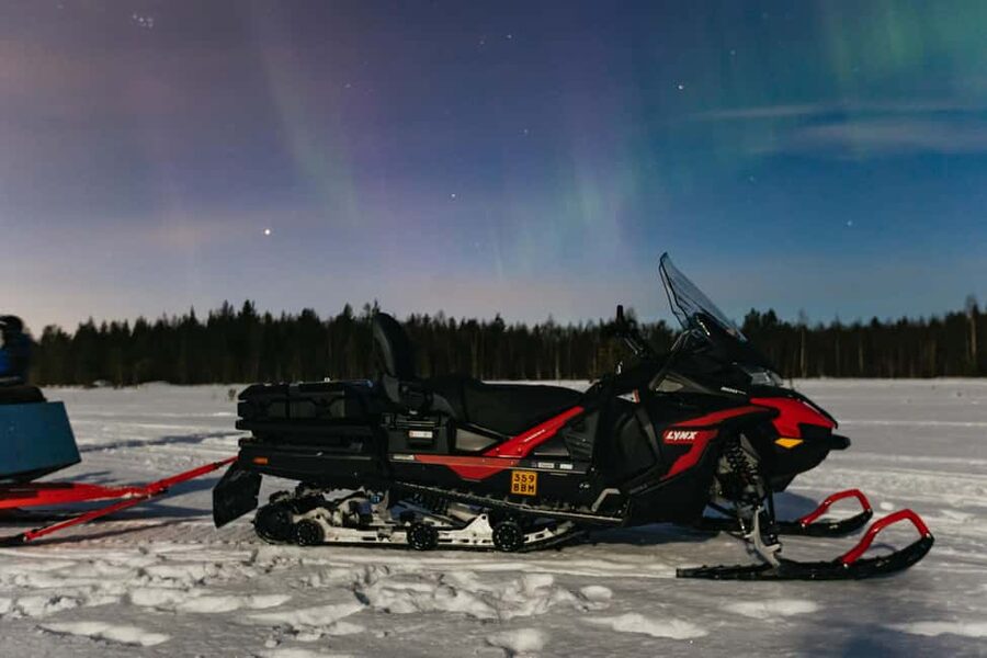Rovaniemi: Northern Lights Family-Friendly Snowmobile Safari - Safety and driving rules, especially the license requirement