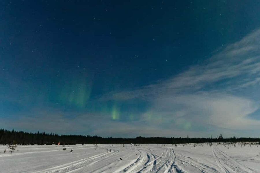 Rovaniemi: Northern Lights Family-Friendly Snowmobile Safari - What you’ll likely feel on the ride: pace, comfort, and patience