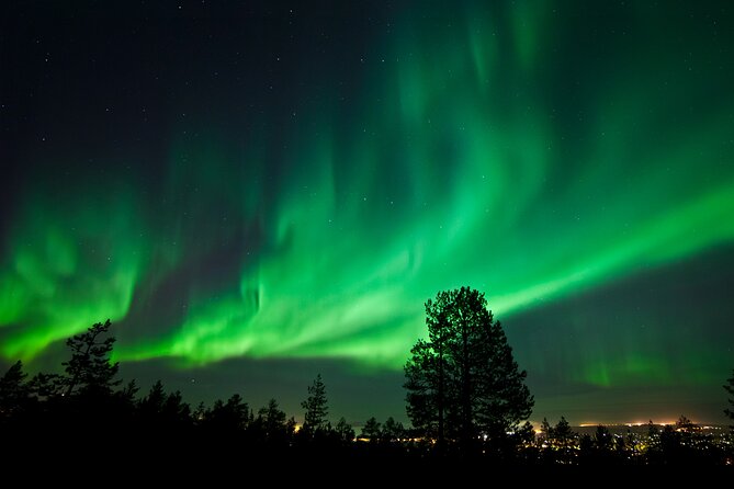 Rovaniemi: Northern Lights Group Tour - Guaranteed View - Thermal Gear, Hot Drinks, Cookies, and Campfire Breaks