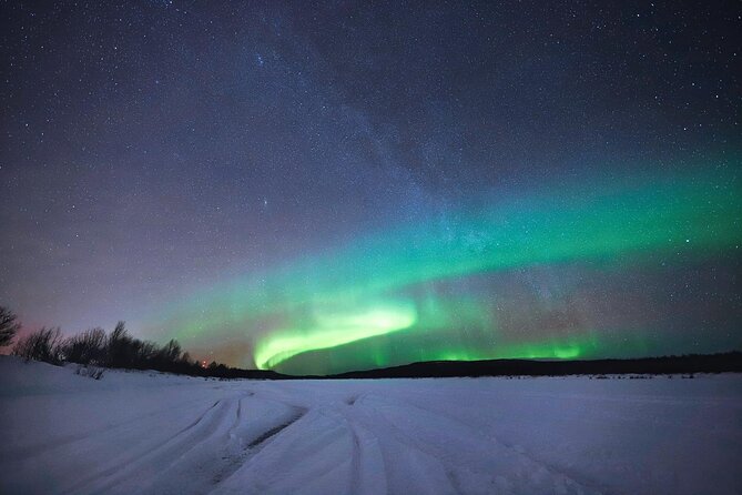 Rovaniemi: Northern Lights Group Tour - Guaranteed View - Who Should Book This Guaranteed Aurora Hunt in Rovaniemi
