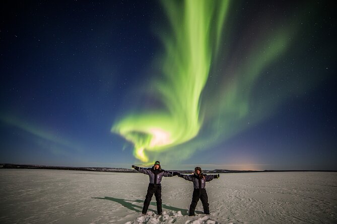 Rovaniemi: Northern Lights Group Tour - Guaranteed View - Should You Book This Tour?