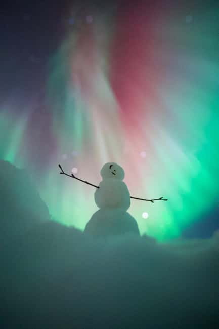 Rovaniemi: Northern Lights Group Tour with Guaranteed View - The Highlights You Actually Feel During the Hunt