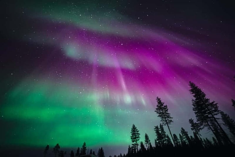 Rovaniemi: Northern Lights Group Tour with Guaranteed View - Your 5 to 6 Hour Night, Stop by Stop from Rovaniemi City Centre