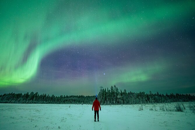 Rovaniemi Northern Lights Hunt With A Professional Photographer - Group Size and Attention, Up to 8 People