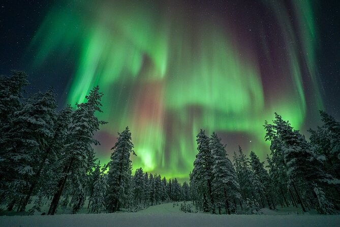 Rovaniemi Northern Lights Hunt With A Professional Photographer - Price and Value, Why $216.86 Can Make Sense Here