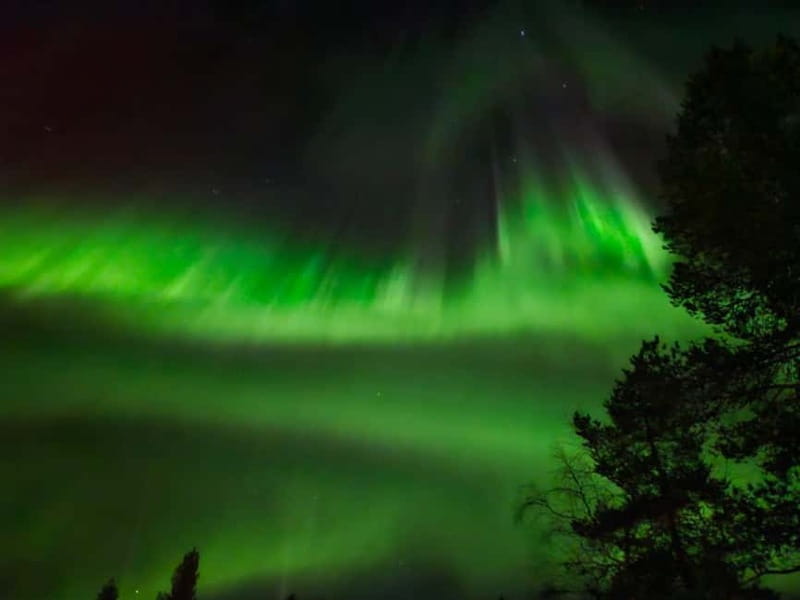 Rovaniemi: Northern Lights Hunters. Aurora + BBQ - Key things to know before you go