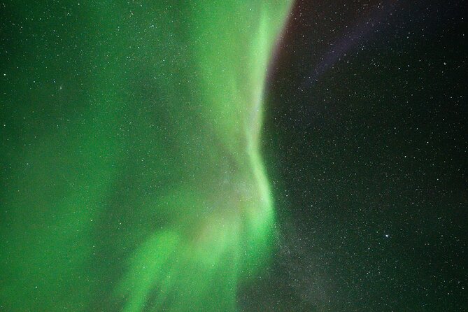 Rovaniemi: Northern Lights Hunting and Photography Tour - What Happens After You Stop Moving: Snacks, Hot Drinks, and Cold-Sky Comfort
