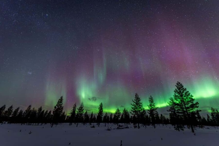 Rovaniemi: Northern Lights Photo Tour | Money-Back Guarantee - Who should book this tour, and who might want a different option