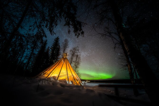 Rovaniemi Northern Lights Photography Small-Group Tour - Hot Drinks, Snacks, and BBQ Time in the Cold