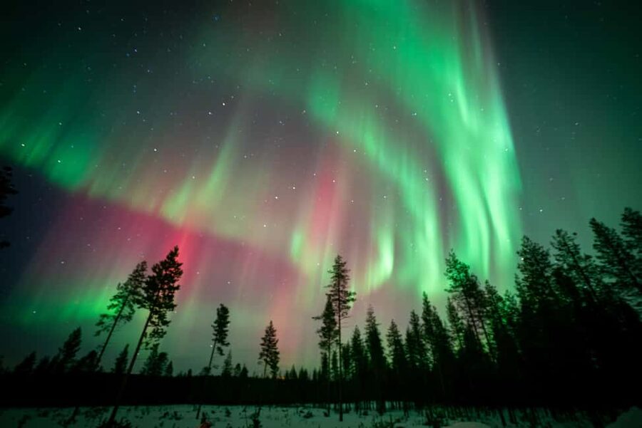 Rovaniemi: Northern Lights Photography Tour & BBQ - Camera Gear Reality Check: What to Do in Arctic Cold