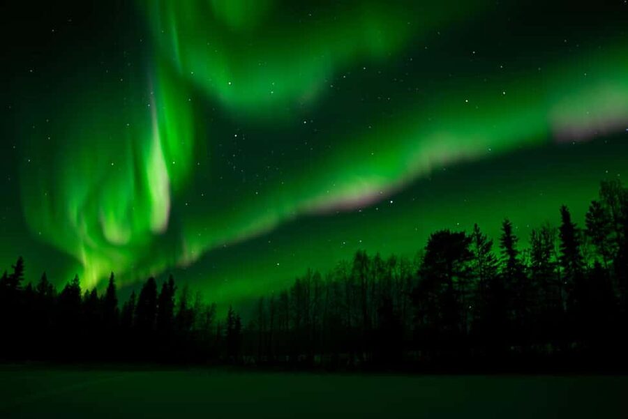 Rovaniemi: Northern Lights Photography Tour & BBQ - Who Should Book This Rovaniemi Northern Lights Photo and BBQ Tour