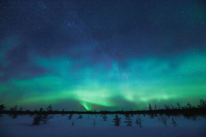Rovaniemi: Northern Lights Pro Guaranteed - Unlimited Distance - Price and value: where your money actually goes