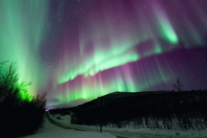Rovaniemi: Northern Lights Pro Guaranteed - Unlimited (PRIVATE) - The core strategy: no limits, meteorology, and moving to where the aurora is