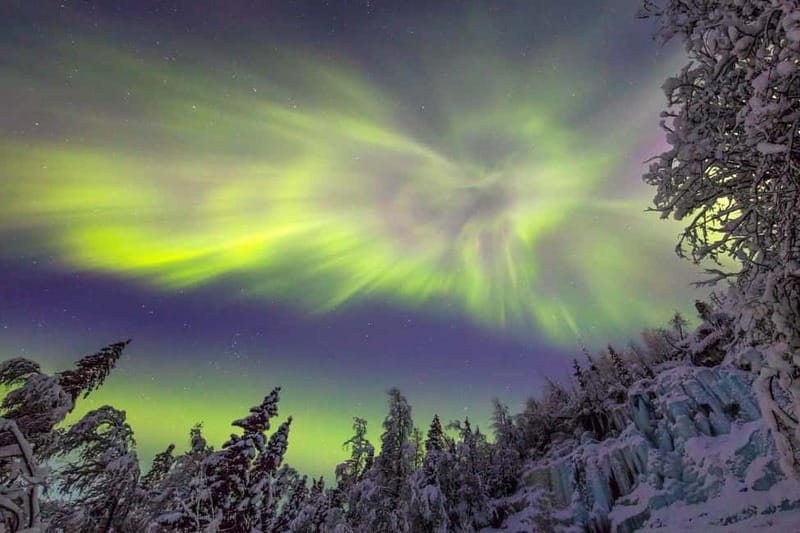 Rovaniemi: Northern Lights Quad Bike Tour - Who this tour suits best