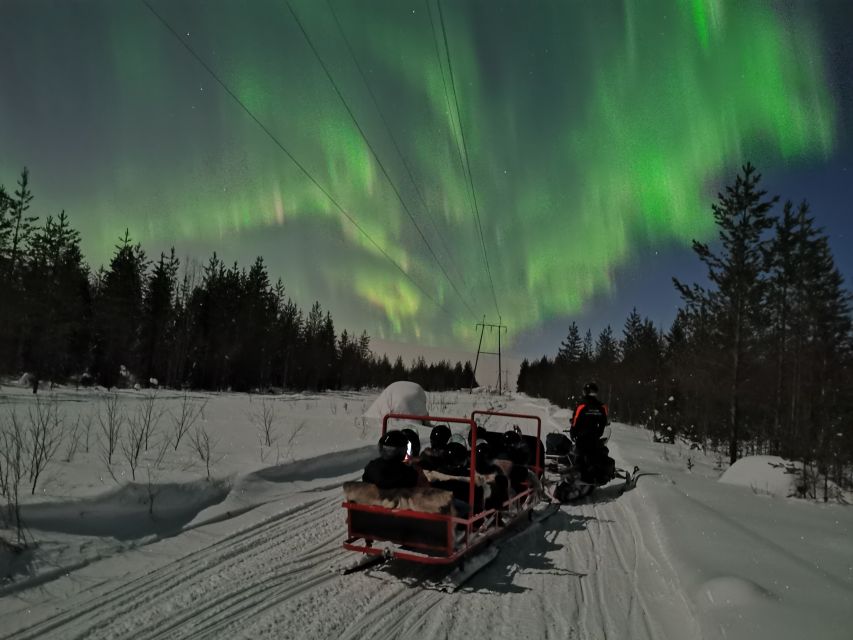 Rovaniemi: Northern Lights Sledge Ride - Riding the Arctic Forest: the sleigh experience that’s more than scenery