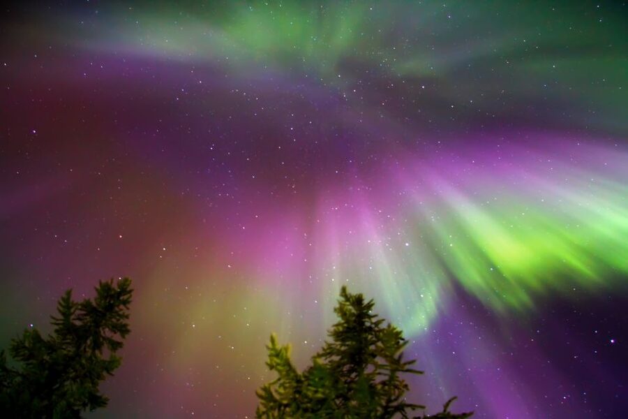 Rovaniemi: Northern Lights Sledge Ride - The booking decision: should you go