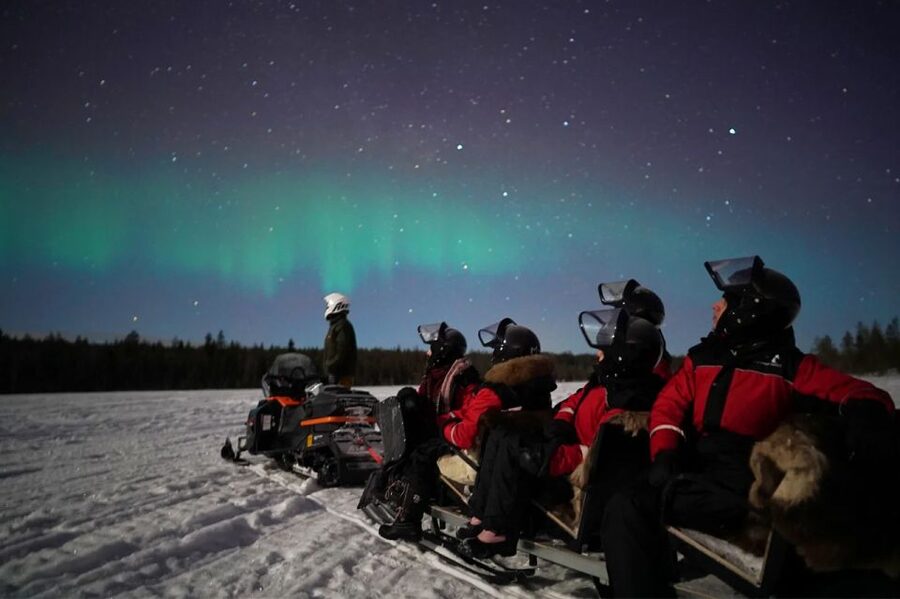 Rovaniemi: Northern Lights Sleigh Ride - Meeting point in Rovaniemi city center, and how to not miss the start
