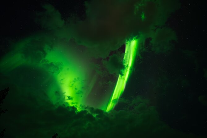 Rovaniemi: Northern Lights Small Group Money-Back Guarantee - Key points to know before you go