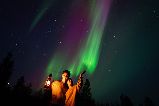 Rovaniemi: Northern Lights Small Group Money-Back Guarantee - How much it costs, and whether it feels like value