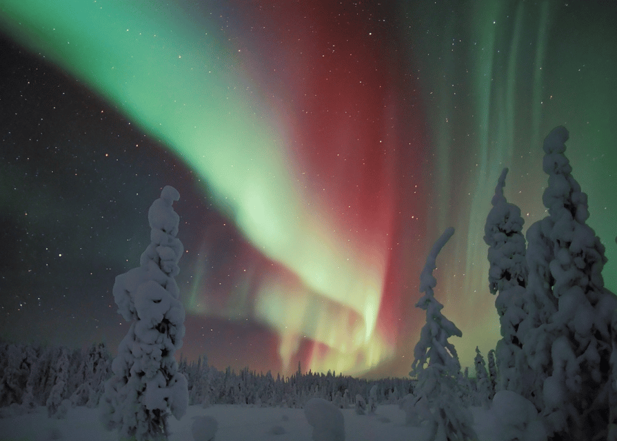 Rovaniemi: Northern Lights Snowmobile Safari with Campfire - Key highlights at a glance