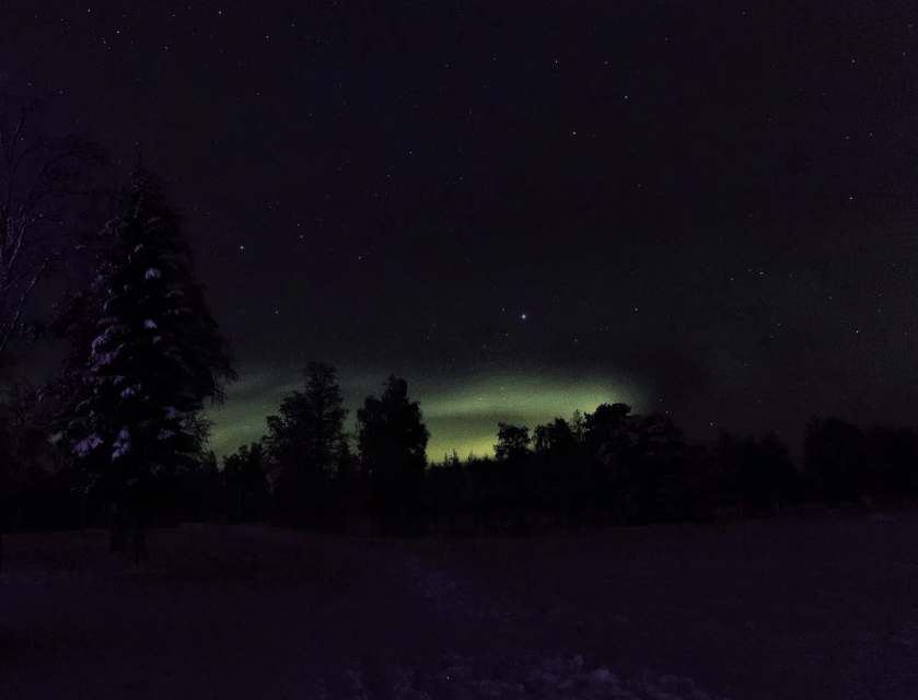 Rovaniemi: Northern Lights Snowmobile Safari with Campfire - The 4-hour snowmobile safari ride through the Arctic night