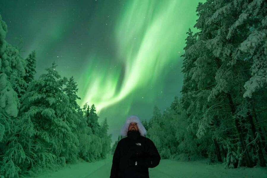 Rovaniemi: Northern Lights Tour - 100% Money Back Guarantee - Pickup, Meeting Times, and How You Avoid Waiting in the Cold