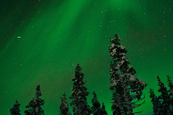 Rovaniemi: Northern Lights Tour - Heated Minibus, Pickup in Rovaniemi, and What You Get for $86.51