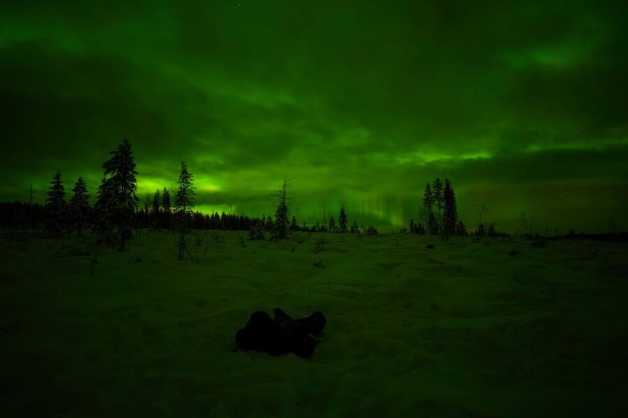 Rovaniemi: Northern Lights Tour at the Campfire - Key Points Before You Go