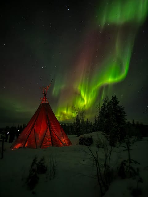 Rovaniemi: Northern Lights Tour at the Campfire - The Practical Stuff: Toilets, Timing, and Staying Comfortable