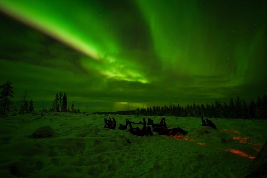 Rovaniemi: Northern Lights Tour at the Campfire - How the 3-Hour Tour Works, Pickup to Return